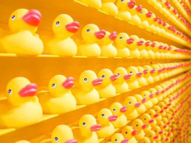 organizedducks