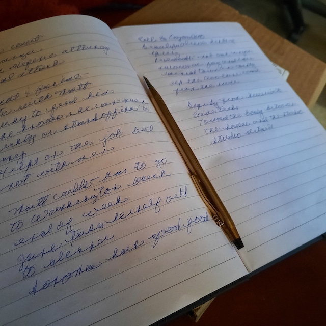 notebook open to handwritten synopsis and pen
