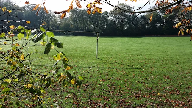 grassy field with goal posts